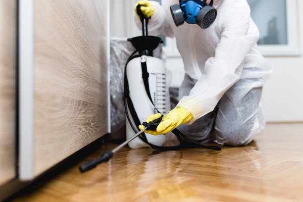 Best Ant Control Services  in Fallsburg, NY