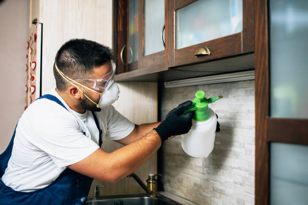 Trusted Fallsburg, NY Pest Control Experts