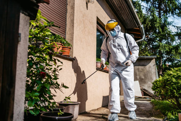Best Emergency Pest Control  in Fallsburg, NY