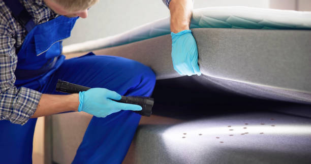 Best Mosquito Control Services  in Fallsburg, NY