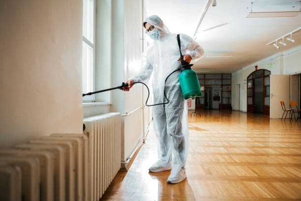 Best Local Pest Control Services  in Fallsburg, NY