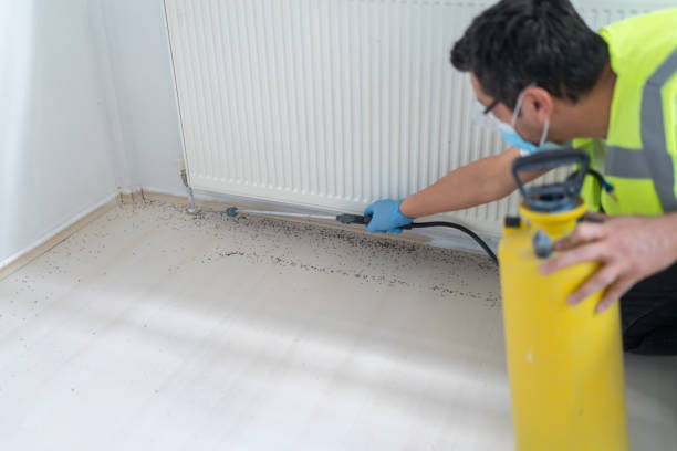 Best Pest Control Near Me  in Fallsburg, NY
