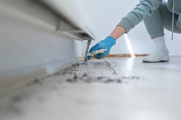 Best Affordable Pest Control Services  in Fallsburg, NY